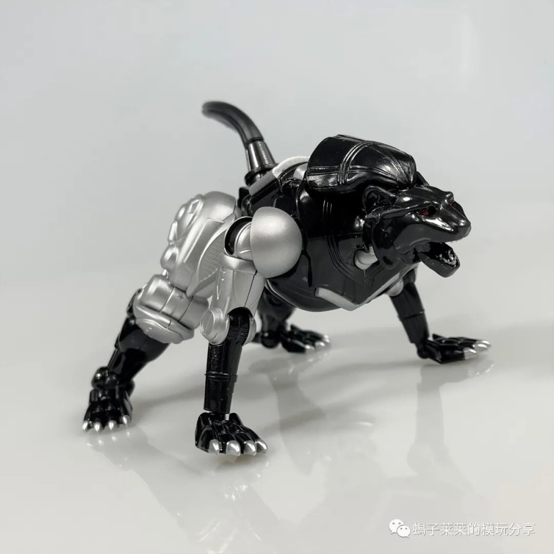 TransArt Toys BWM-04 Black Agent In-Hand Images Gallery